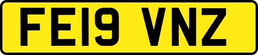 FE19VNZ