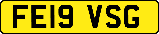 FE19VSG