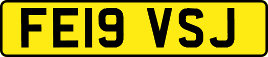 FE19VSJ
