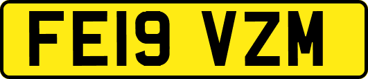 FE19VZM