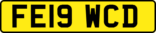 FE19WCD