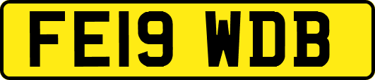 FE19WDB