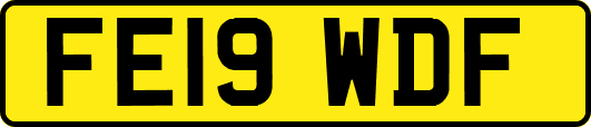 FE19WDF