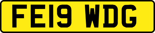 FE19WDG