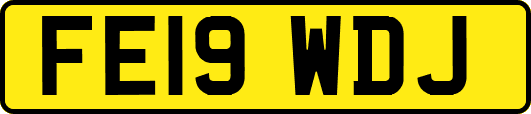 FE19WDJ
