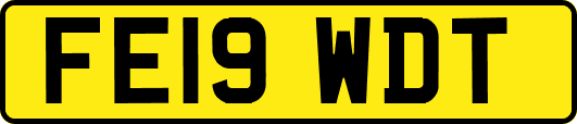 FE19WDT