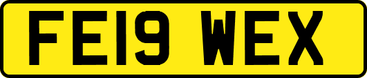 FE19WEX