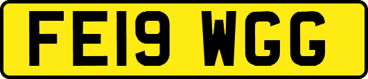 FE19WGG