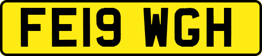 FE19WGH