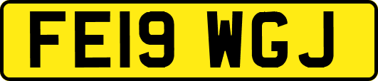 FE19WGJ