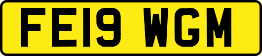 FE19WGM