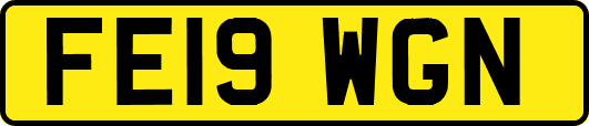 FE19WGN