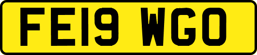 FE19WGO