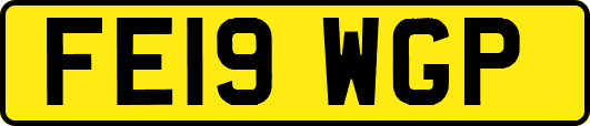 FE19WGP