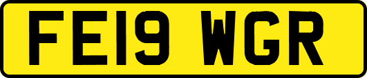 FE19WGR