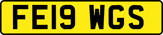 FE19WGS
