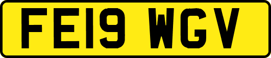FE19WGV