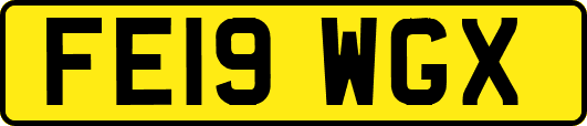 FE19WGX