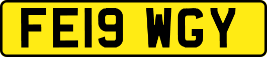 FE19WGY