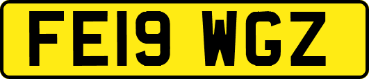 FE19WGZ