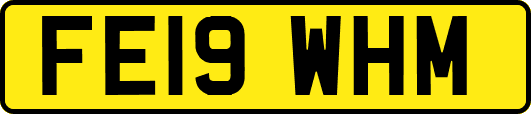 FE19WHM