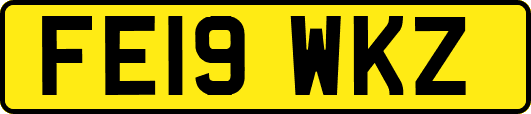 FE19WKZ