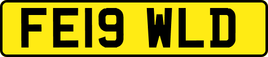 FE19WLD