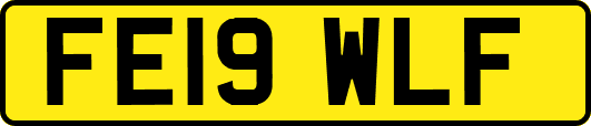 FE19WLF