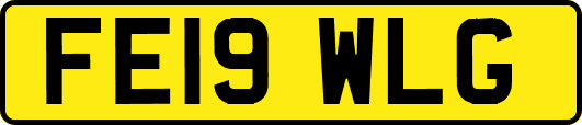 FE19WLG