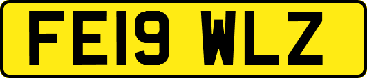 FE19WLZ