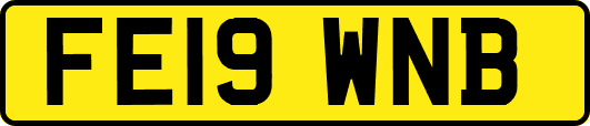 FE19WNB