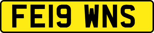 FE19WNS