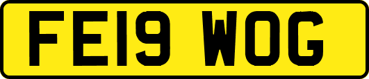 FE19WOG