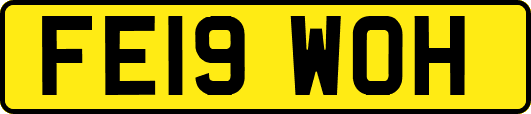 FE19WOH