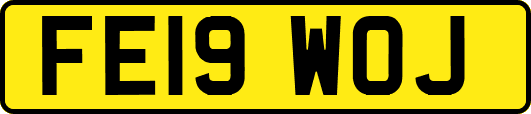 FE19WOJ