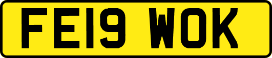 FE19WOK
