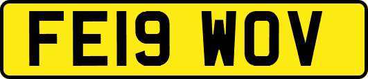 FE19WOV