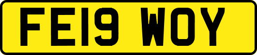 FE19WOY