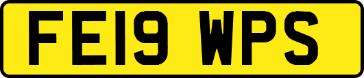 FE19WPS