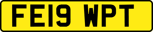 FE19WPT