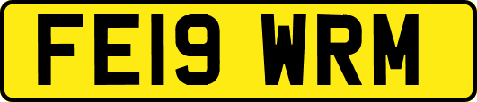 FE19WRM