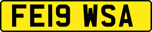 FE19WSA
