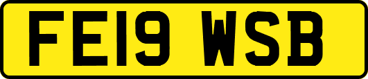 FE19WSB