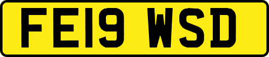 FE19WSD