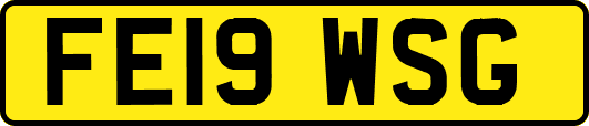 FE19WSG