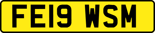 FE19WSM