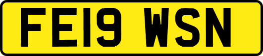 FE19WSN