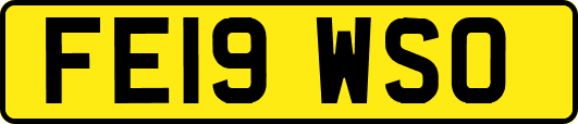 FE19WSO