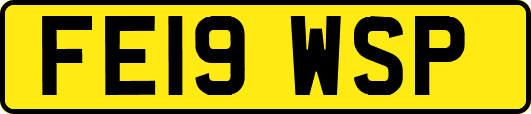 FE19WSP