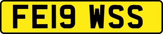 FE19WSS